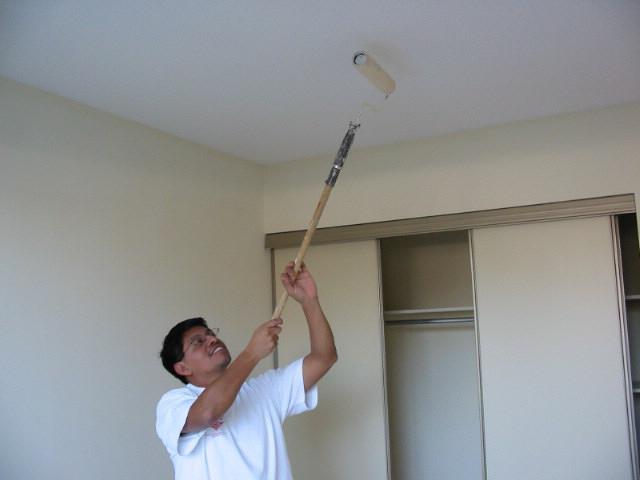 Dulux ceiling paint is the best solution
