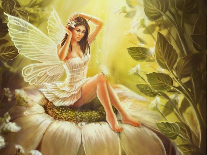 How to evoke a fairy of desires?