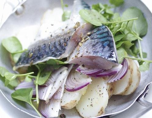 How to pickle mackerel at home
