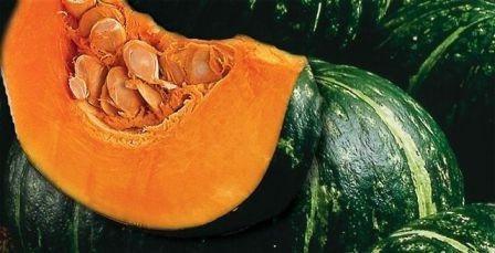Summer in the fridge. Is it possible to freeze a pumpkin for the winter?