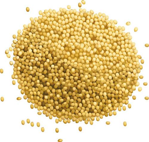 What is the harm and benefit of millet?