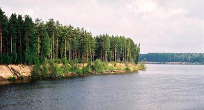 Nizhnesvirsky State Nature Reserve