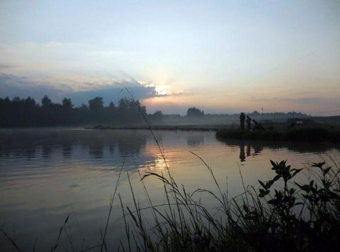 Paramonovo: fishing on a paid pond. Secrets of successful fishing