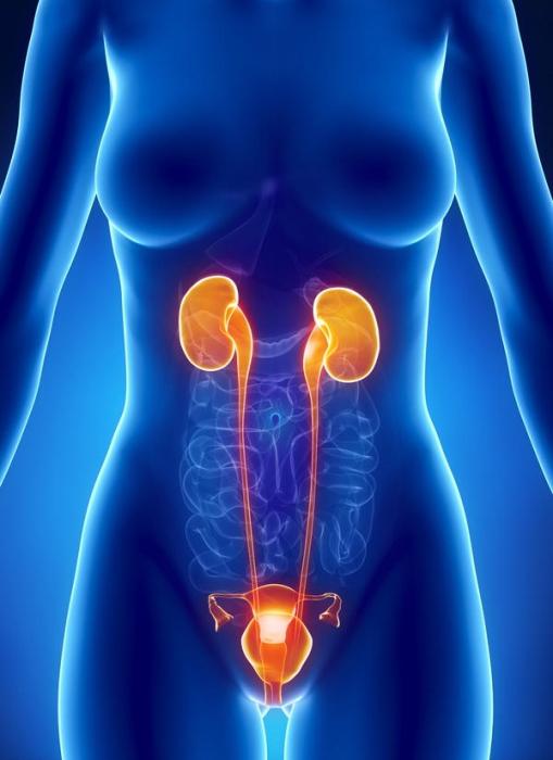 chronic urethritis in women 